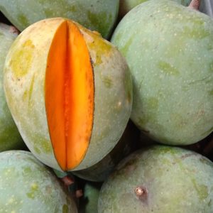 40 কেজি হিমসাগর আম