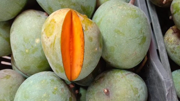২০ কেজি হিমসাগর আম